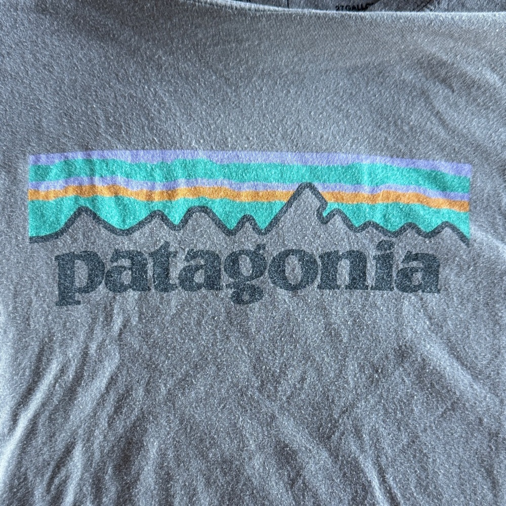 Patagonia Organic Cotton Gray T-Shirt